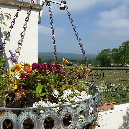 Dean Valley Panorama Bed & Breakfast Лидней Экстерьер фото